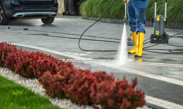 Best Solar Panel Cleaning  in Cache, OK